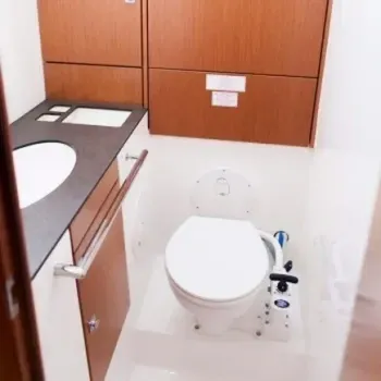 Mechanical toilet