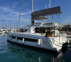 Silver Dolphin